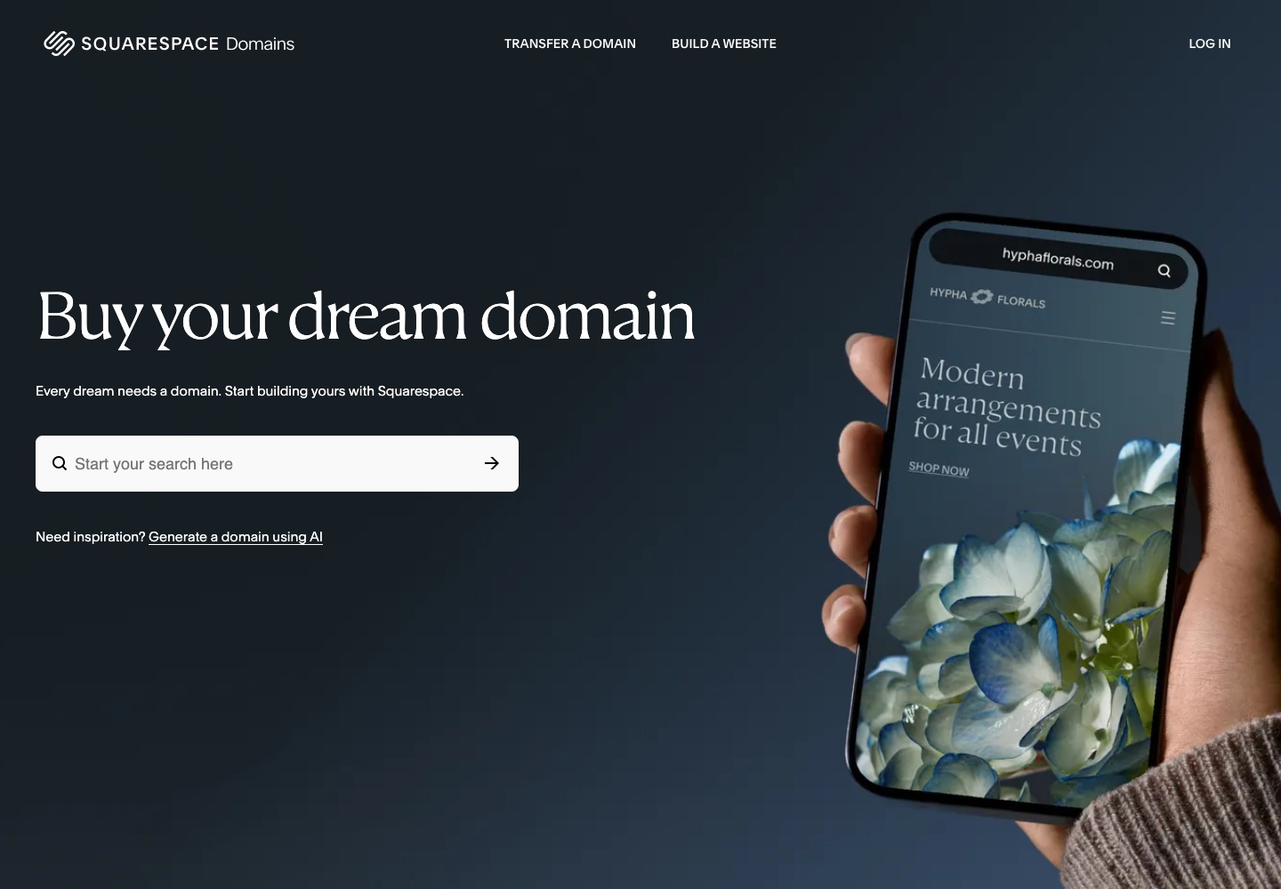 Squarespace Domains search interface
